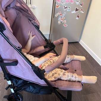 Коляска прогулочная Babyton City Purple фиолетовый: отзыв пользователя ДетМир
