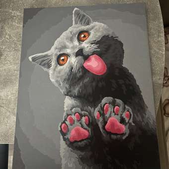 Картина по номерам Hobby Paint Целовашки от котика в ассортименте: отзыв пользователя Детский Мир