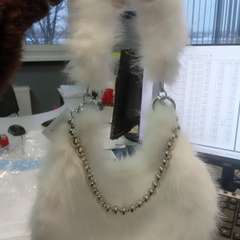 Фото отзыва 10921667