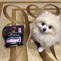 Фото отзыва 10801951