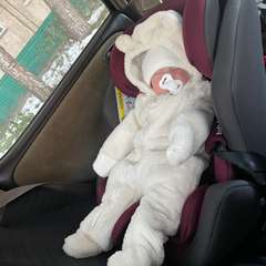 Фото отзыва 10573337