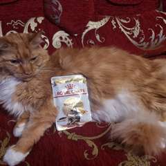 Фото отзыва 10877980