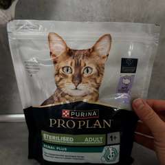 Фото отзыва 10726779