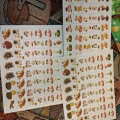 Фото отзыва 10673269