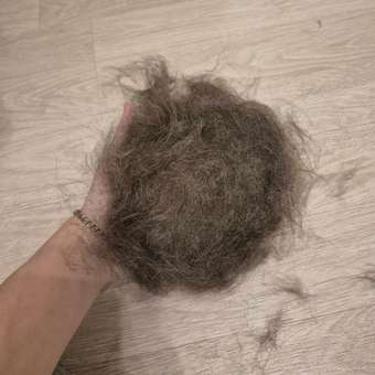 Щётка-массажёр Barbaks из термопластичной резины для ухода за питомцем зеленая 15*11.5см: отзыв пользователя. Зоомагазин Зоозавр