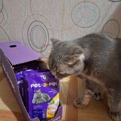 Фото отзыва 10174340