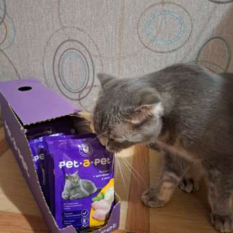 Корм для кошек Pet-a-Pet 85г стерилизованных Кусочки с цыпленком в желе пауч: отзыв пользователя. Зоомагазин Зоозавр