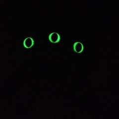 Фото отзыва 11143229