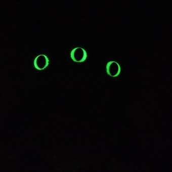 Мягкая игрушка Zuru FUGGLER Ушастик Грин: отзыв пользователя Детский Мир