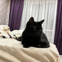 Фото отзыва 10754817