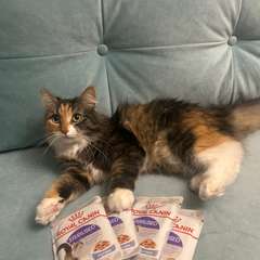 Фото отзыва 10674207