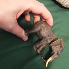 Фото отзыва 10959305