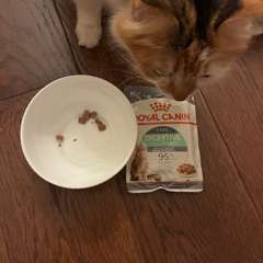 Фото отзыва 10716167