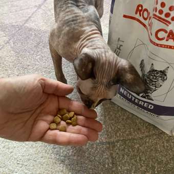 Корм для кошек ROYAL CANIN Neutered Satiety Balance стерилизованных 3.5кг: отзыв пользователя. Зоомагазин Зоозавр