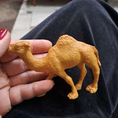 Фото отзыва 11118370