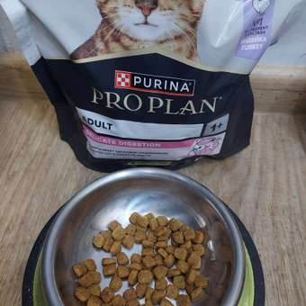 Корм сухой для кошек PRO PLAN DELICATE DIGESTION 400г с индейкой: отзыв пользователя. Зоомагазин Зоозавр