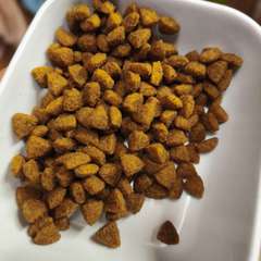 Фото отзыва 10795128