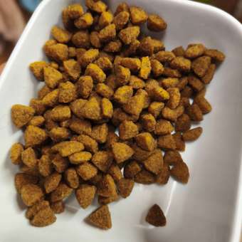 Корм для щенков ROYAL CANIN X-small Puppy миниатюрных пород 500г: отзыв пользователя. Зоомагазин Зоозавр