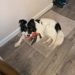 Фото отзыва 9188563