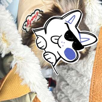 Комбинезон для собак PIFPAF DOG: отзыв пользователя. Зоомагазин Зоозавр