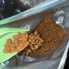 Фото отзыва 10664412