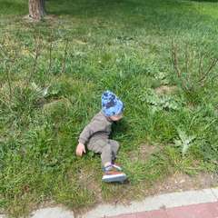 Фото отзыва 4468459