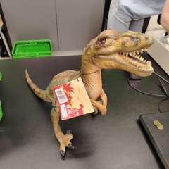 Фото отзыва 11283353