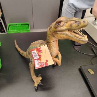 Игровой набор Attivio Велоцираптор: отзыв пользователя Детский Мир