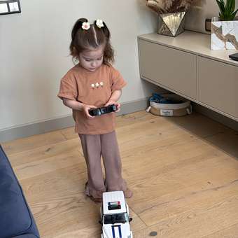 Полицейская машина РУ Rastar Mercedes 1:14: отзыв пользователя Детский Мир