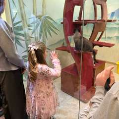 Фото отзыва 11177865