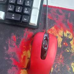 Фото отзыва 11270443