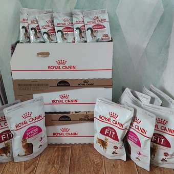 Корм для кошек ROYAL CANIN Fit 32 для взрослых умеренно активных кошек от 1года сухой 0.2кг: отзыв пользователя. Зоомагазин Зоозавр