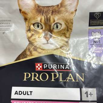 Корм сухой для кошек PRO PLAN DELICATE DIGESTION 400г с индейкой: отзыв пользователя. Зоомагазин Зоозавр