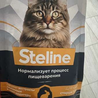 Корм для кошек Steline 85г для стерилизованных кролик-оливки в соусе: отзыв пользователя. Зоомагазин Зоозавр