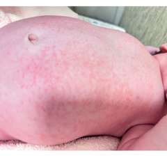 Фото отзыва 10735002