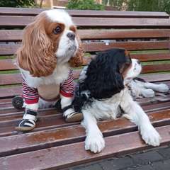 Фото отзыва 10512214