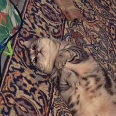 Фото отзыва 11007828