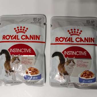 Корм влажный для кошек ROYAL CANIN Instinctive 85г желе пауч 77848: отзыв пользователя. Зоомагазин Зоозавр