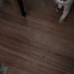 Видео отзыва 10761873