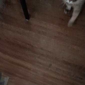 Корм сухой для кошек ROYAL CANIN Sterilised 400г пожилых стерилизованных: отзыв пользователя. Зоомагазин Зоозавр