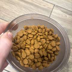 Фото отзыва 10795285