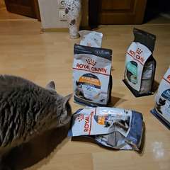 Видео отзыва 10777349