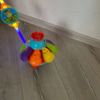 Игрушка Жирафики каталка: отзыв пользователя Детский Мир