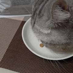 Видео отзыва 10635070