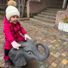 Фото отзыва 10914747