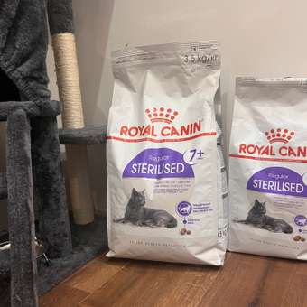 Корм сухой для кошек ROYAL CANIN Sterilised 3.5кг пожилых стерилизованных: отзыв пользователя. Зоомагазин Зоозавр
