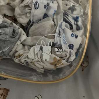 Сумка в роддом ROXY-KIDS прозрачная 3 шт цвет бежевый: отзыв пользователя Детский Мир