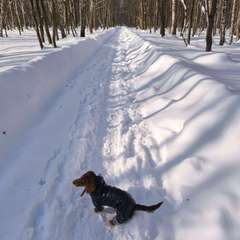 Фото отзыва 11085524