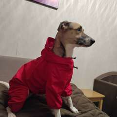 Фото отзыва 10872595