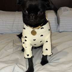 Фото отзыва 10490462